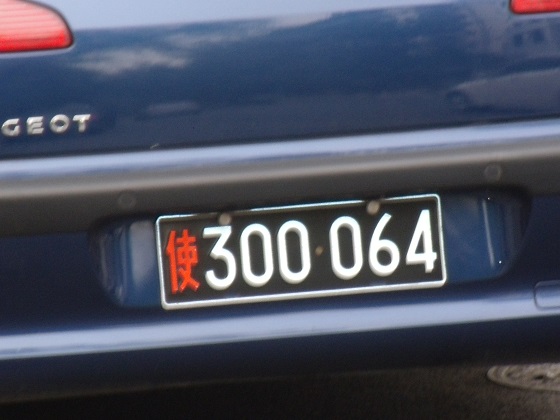 china license plate