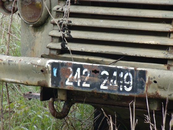 france license plate