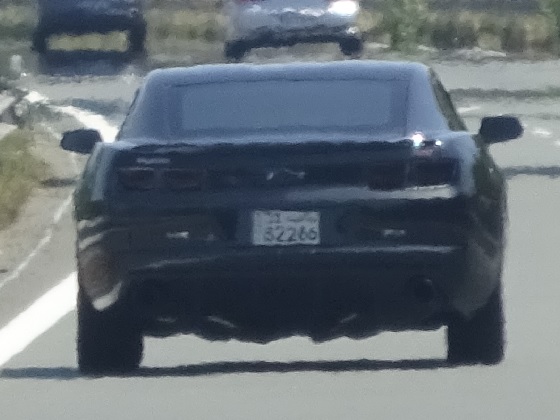 kuwait license plate