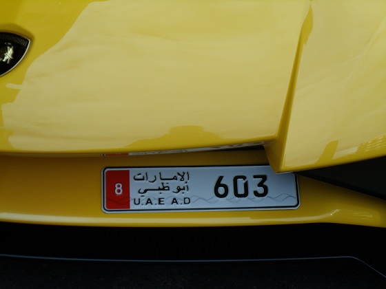 united arab emirates abu dhabi license plate