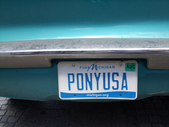 united states michigan license plate